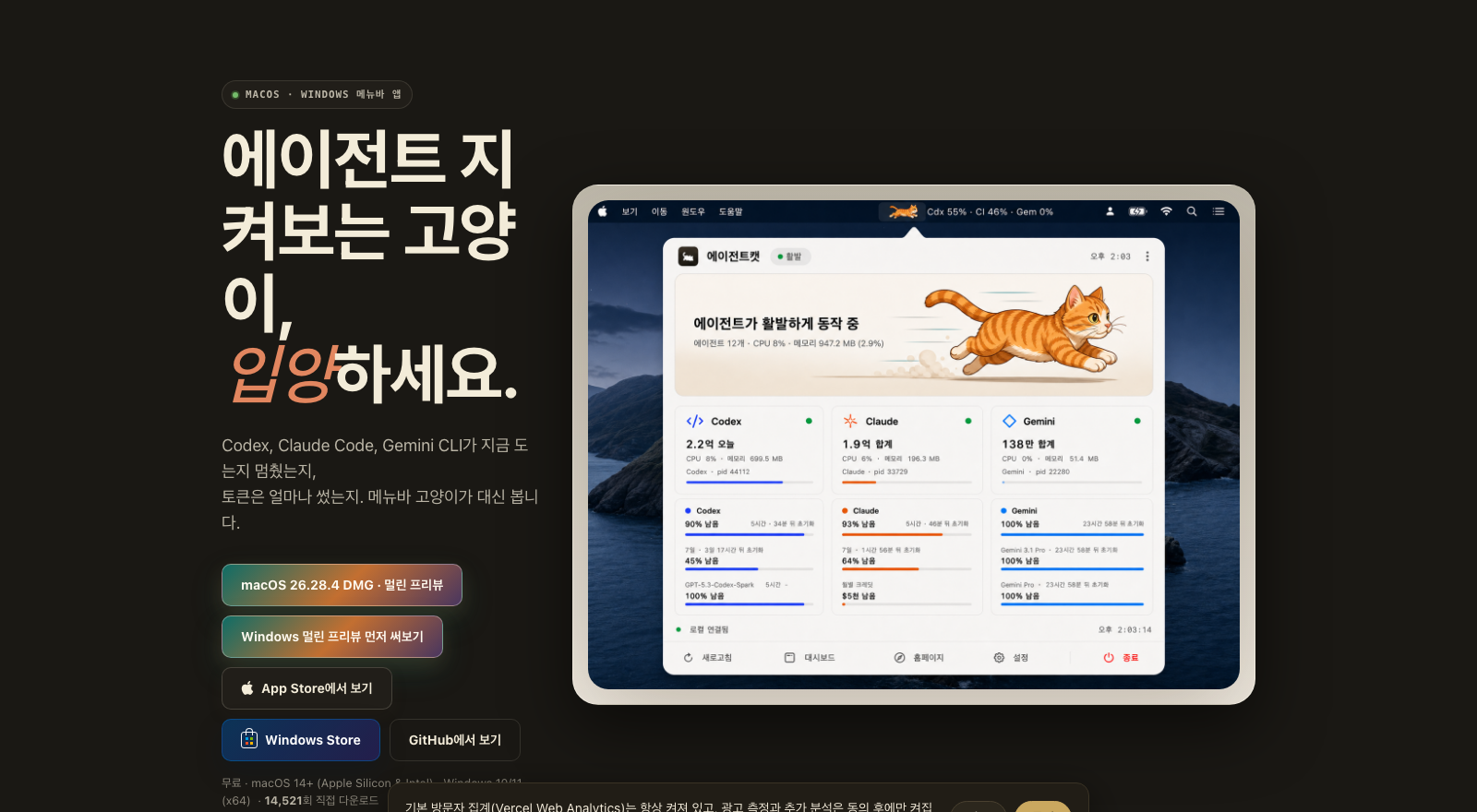 agentcat.app 실제 사이트